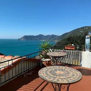 Guest house Dreams
